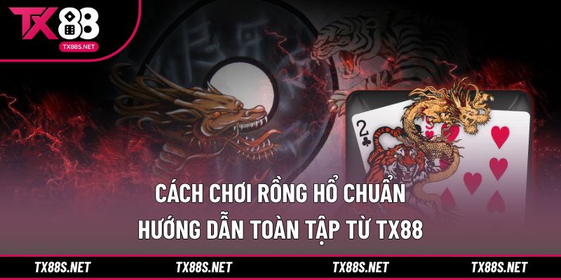 Cách chơi rồng hổ chuẩn