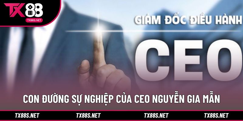 Con đường sự nghiệp của CEO Nguyễn Gia Mẫn