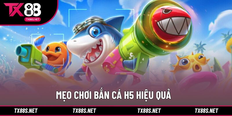 Kinh nghiệm tham gia săn cá H5 trực tiếp