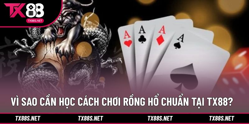 Lý do bạn nên tham khảo cách chơi rồng hổ chuẩn