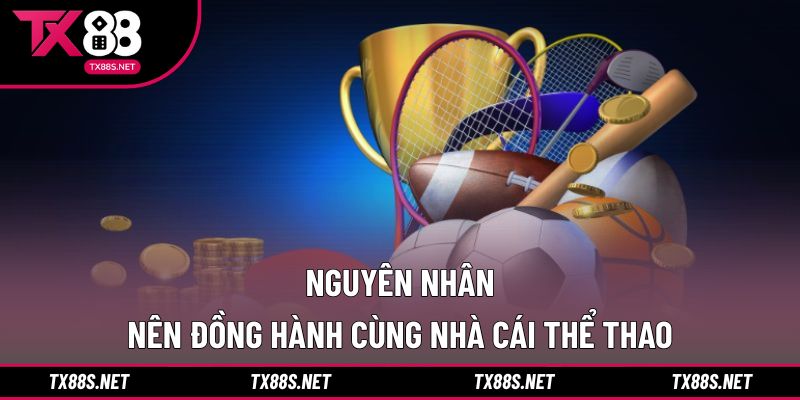 Nguyên nhân nên đồng hành cùng nhà cái thể thao
