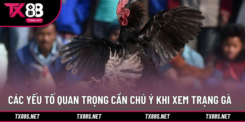 Những yếu tố nền tảng giúp đánh giá trạng thái chiến kê